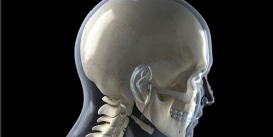 cervical curve, neck pain, shoulder pain