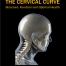 cervical curve, neck pain, shoulder pain