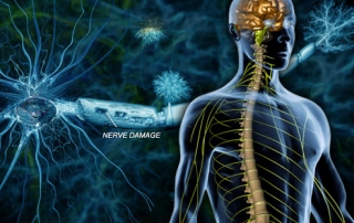 Multiple sclerosis treatment greenville, SC