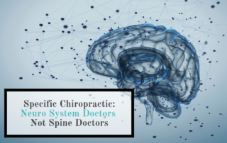 outline of a brain with the words specific chiropractic neuro system doctors not spine