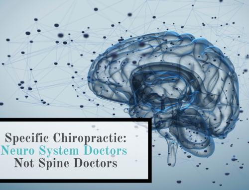 Specific Chiropractic: Neuro System Doctors, Not Spine Doctors